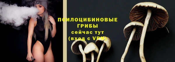 стафф Богданович