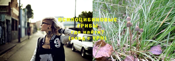 стафф Богданович