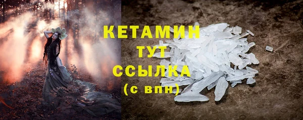 стафф Богданович