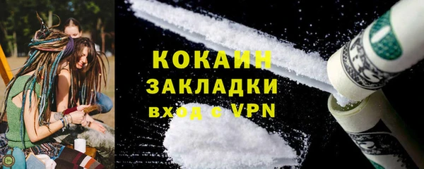 стафф Богданович