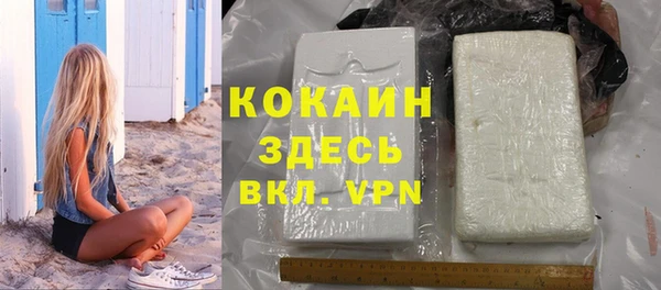 стафф Богданович
