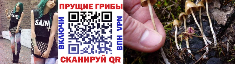 это наркотические препараты  Мегион  Галлюциногенные грибы Cubensis 